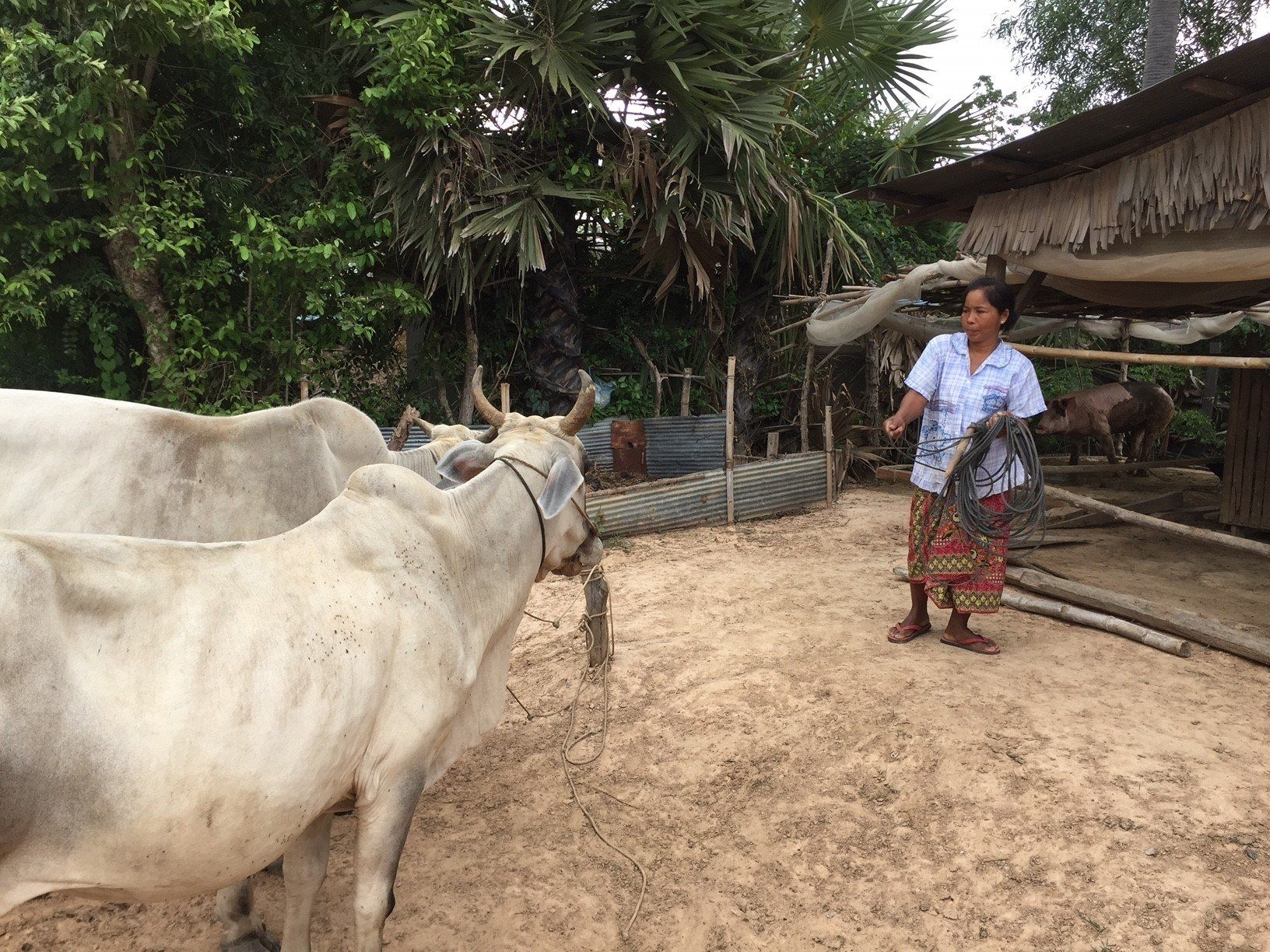 Reliance Church congregation supporting Project Cow and Project Fertilizer in Cambodia